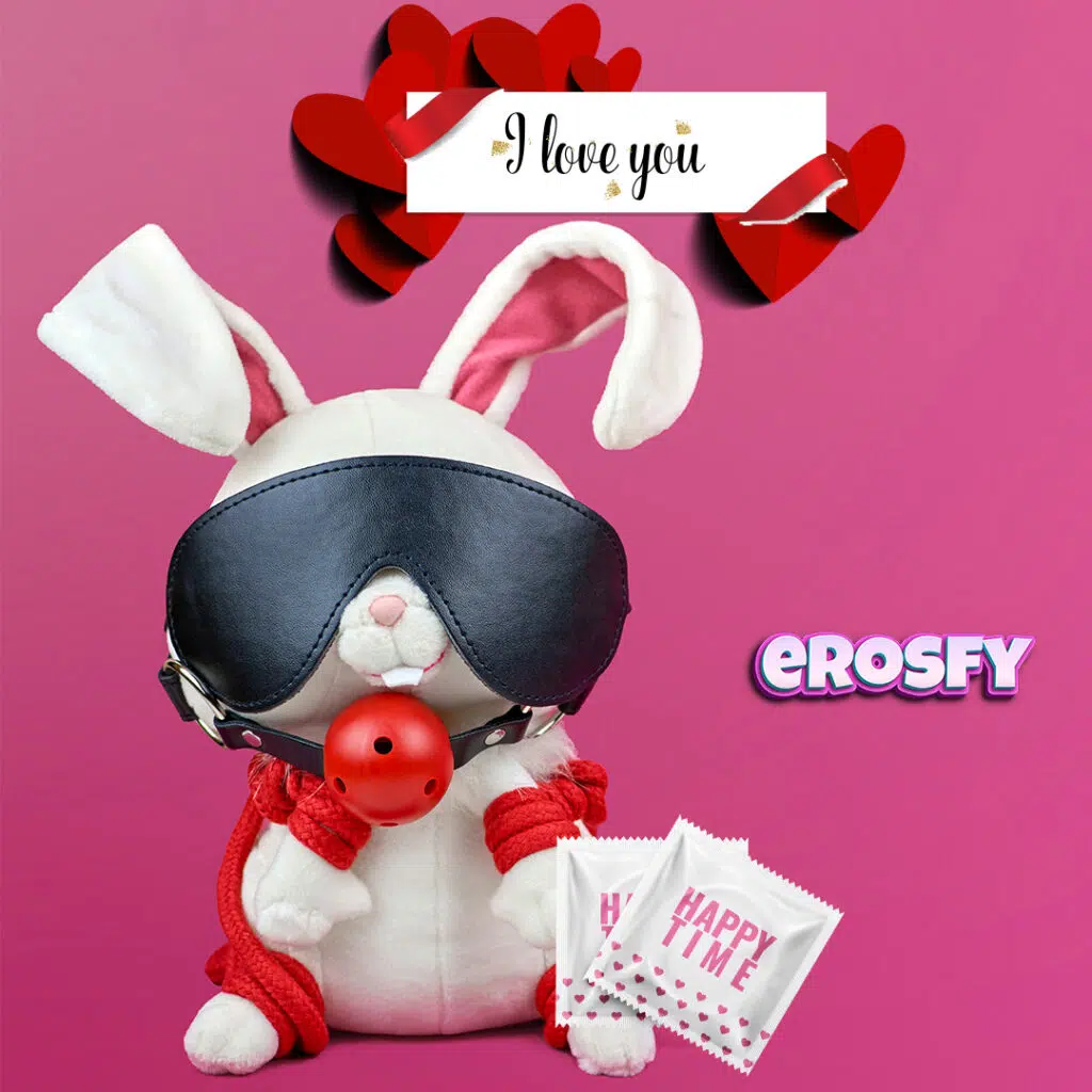 erosfy sex shop